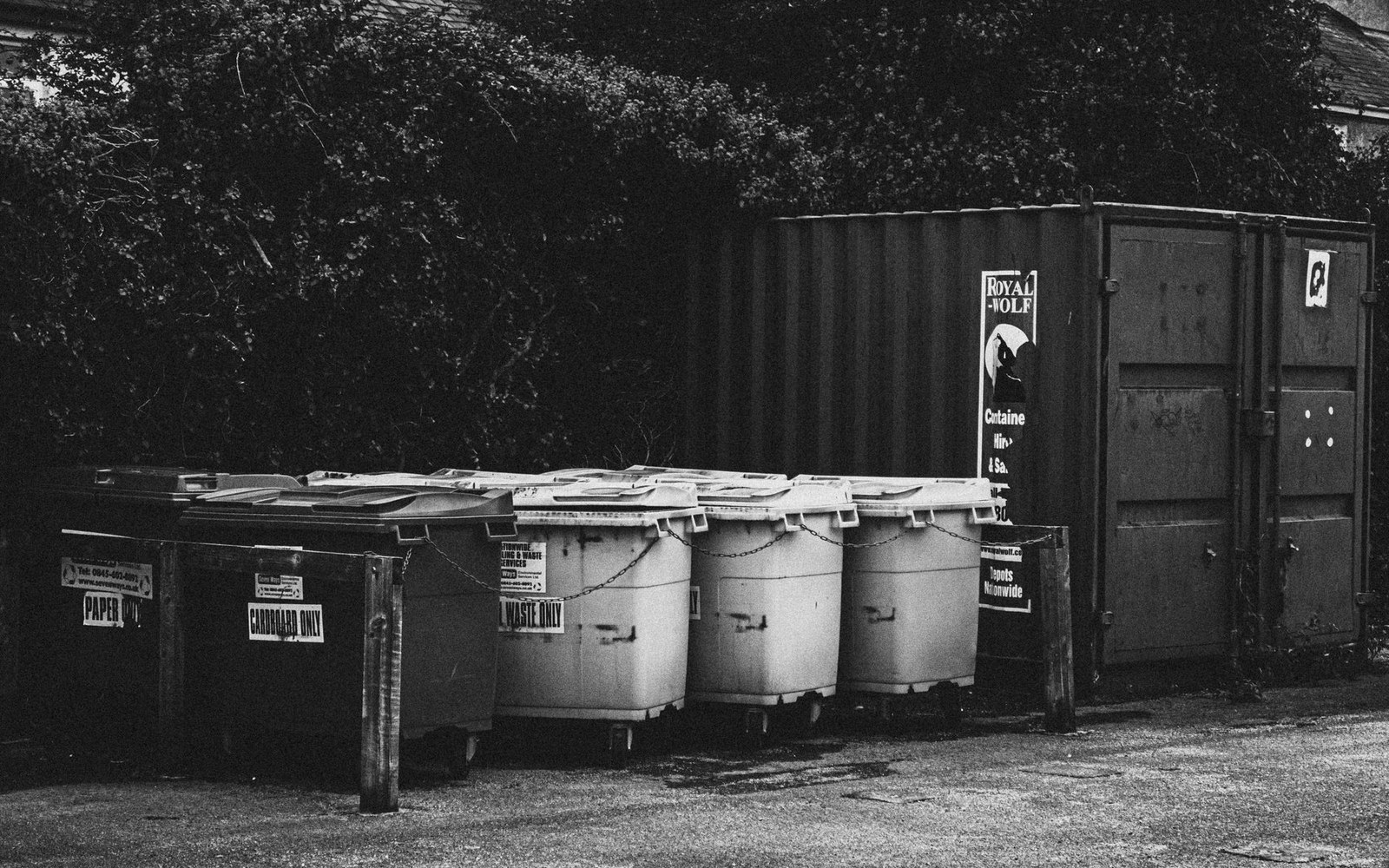 Row of labeled recycling bins lined up beside a shipping container storage unit