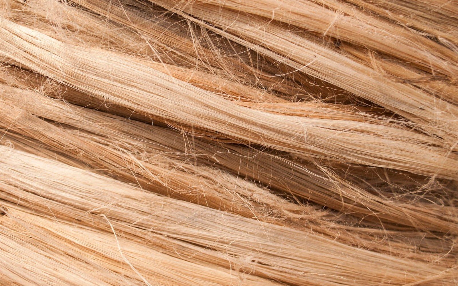 Close-up of raw natural fibers bundled together in diagonal strands